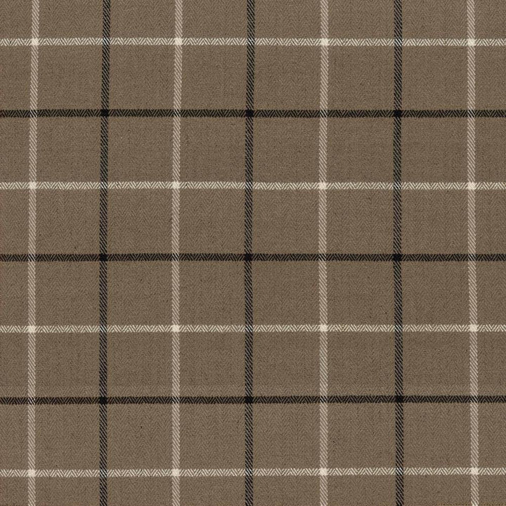 Steinbeck Check Taupe by Kasmir Fabric 1446 CHINA 68,000 Martindale Cycles H: 5 inches, V:5 inches 57 - Fabric Carolina - Kasmir