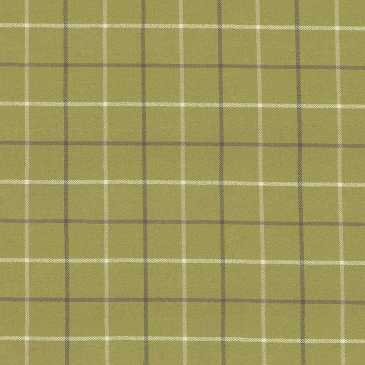 Steinbeck Check Palm by Kasmir Fabric 1446 50% Polyester
50% Viscose
 CHINA </p><p>Repeat: Horizontal: 5 inches and Vertical: 5 inches 57 - Fabric Carolina -