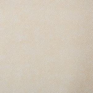 Kravet Design Stelline-1 by Kravet Design Fabric