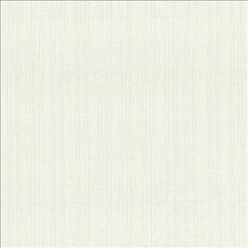 Straight Talk Off White by Kasmir Fabric 5035 50% Cotton 50% Linen INDIA Not Tested H: 4 6/8 inches, V: N/A 54 - 55 - Fabric Carolina - Kasmir