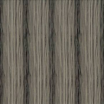 Strand By Strand Ebony by Kasmir Fabric 1426 100% Polyester INDIA Not Tested H: 13 4/8 inches, V: 10 7/8 inches 54 - Fabric Carolina - Kasmir