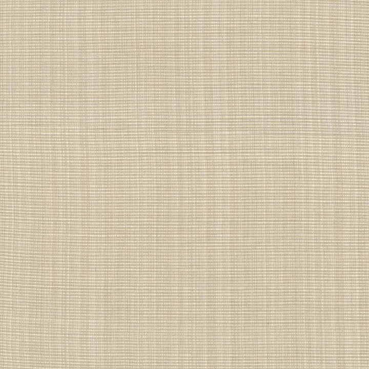 Strasse Ecru  by Kasmir Fabric See sample 50% Cotton
50% Polyester
 INDIA 30,000 Wyzenbeek Double Rubs </p><p>Repeat: Horizontal: N/A and Vertical: N/A 54  - Fabric Carolina -