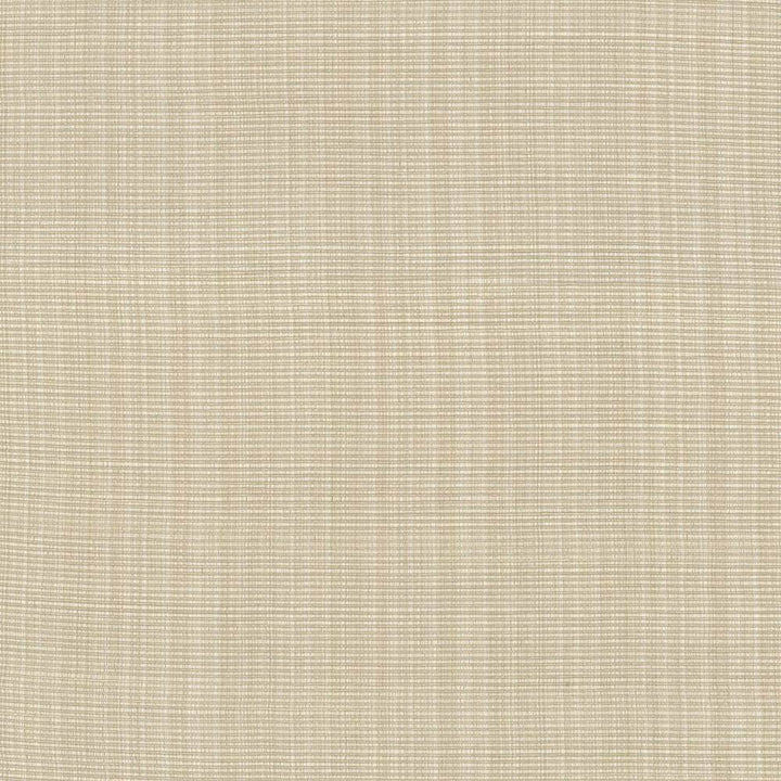 Strasse Ecru by Kasmir Fabric 5030 INDIA 30,000 Wyzenbeek Double Rubs H: N/A, V:N/A 54 - 55 - Fabric Carolina - Kasmir