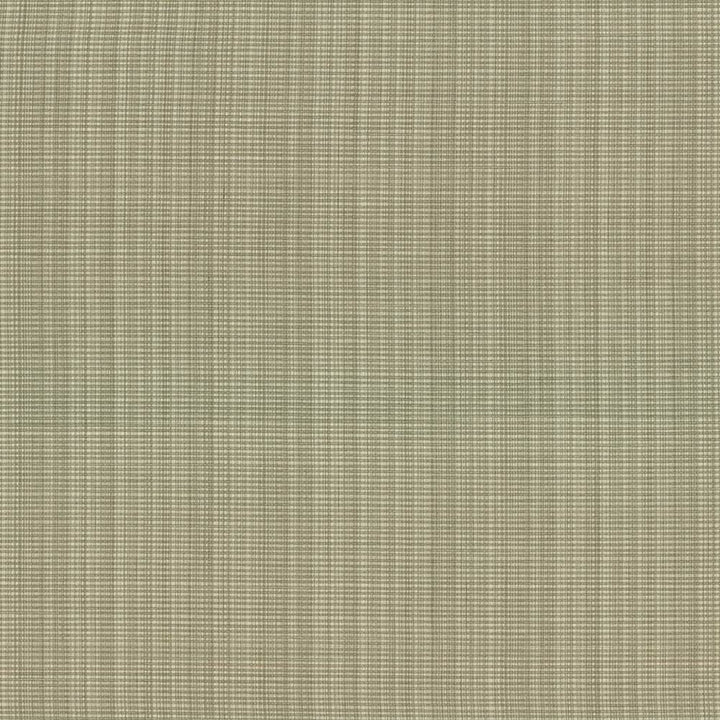 Strasse Leaf by Kasmir Fabric 5030 50% Cotton
50% Polyester
 INDIA 30,000 Wyzenbeek Double Rubs Horizontal: N/A and Vertical: N/A 54 - Fabric Carolina -