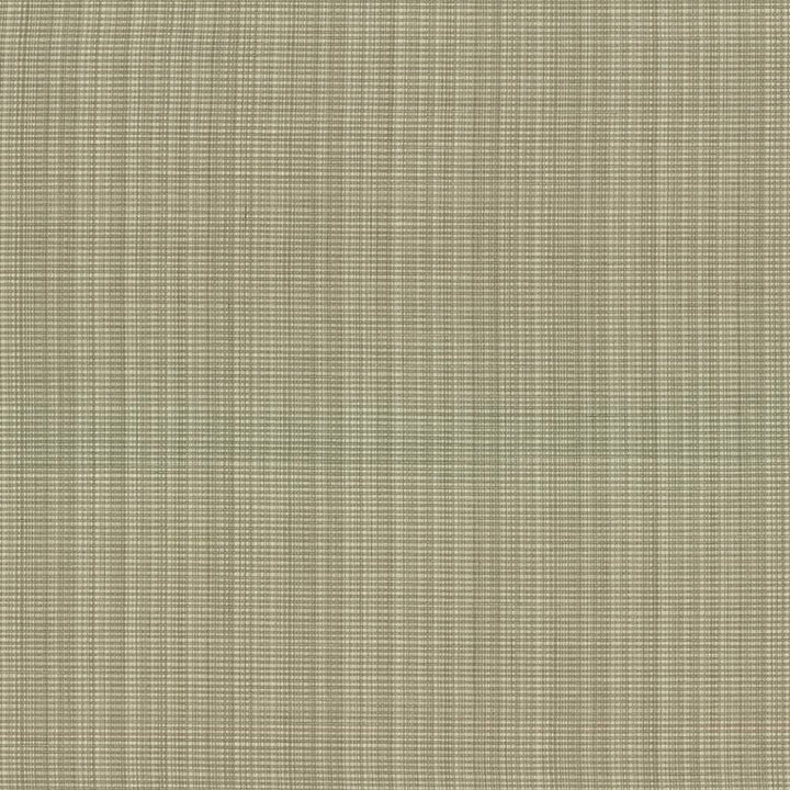 Strasse Leaf by Kasmir Fabric 5030 INDIA 30,000 Wyzenbeek Double Rubs H: N/A, V:N/A 54 - 55 - Fabric Carolina - Kasmir
