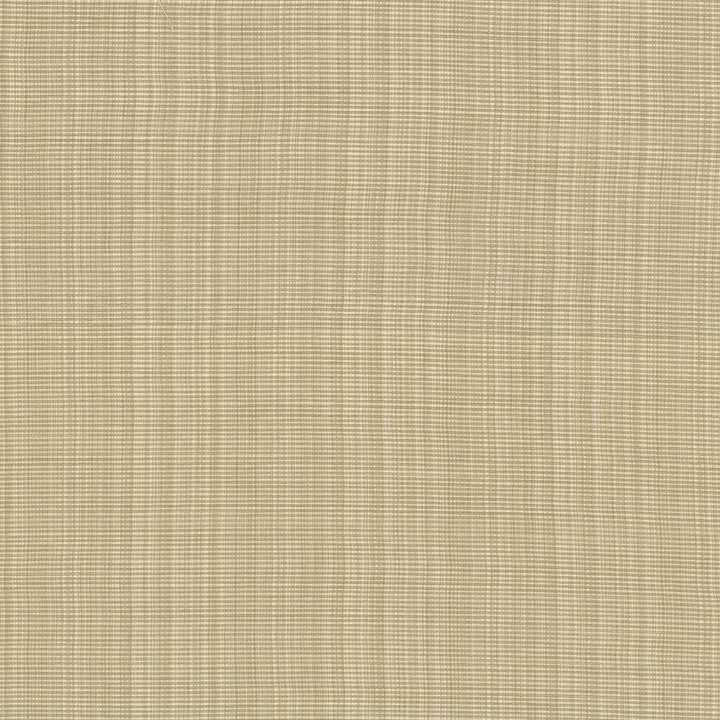Strasse Linden by Kasmir Fabric 5030 INDIA 30,000 Wyzenbeek Double Rubs H: N/A, V:N/A 54 - 55 - Fabric Carolina - Kasmir