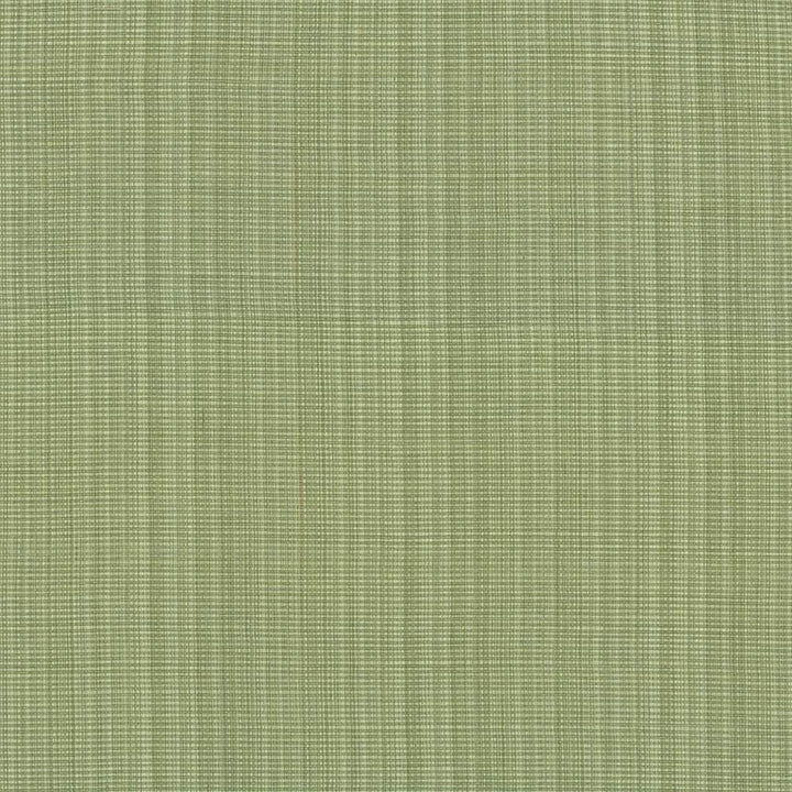 Strasse Peapod  by Kasmir Fabric See sample 50% Cotton
50% Polyester
 INDIA 30,000 Wyzenbeek Double Rubs </p><p>Repeat: Horizontal: N/A and Vertical: N/A 54  - Fabric Carolina -