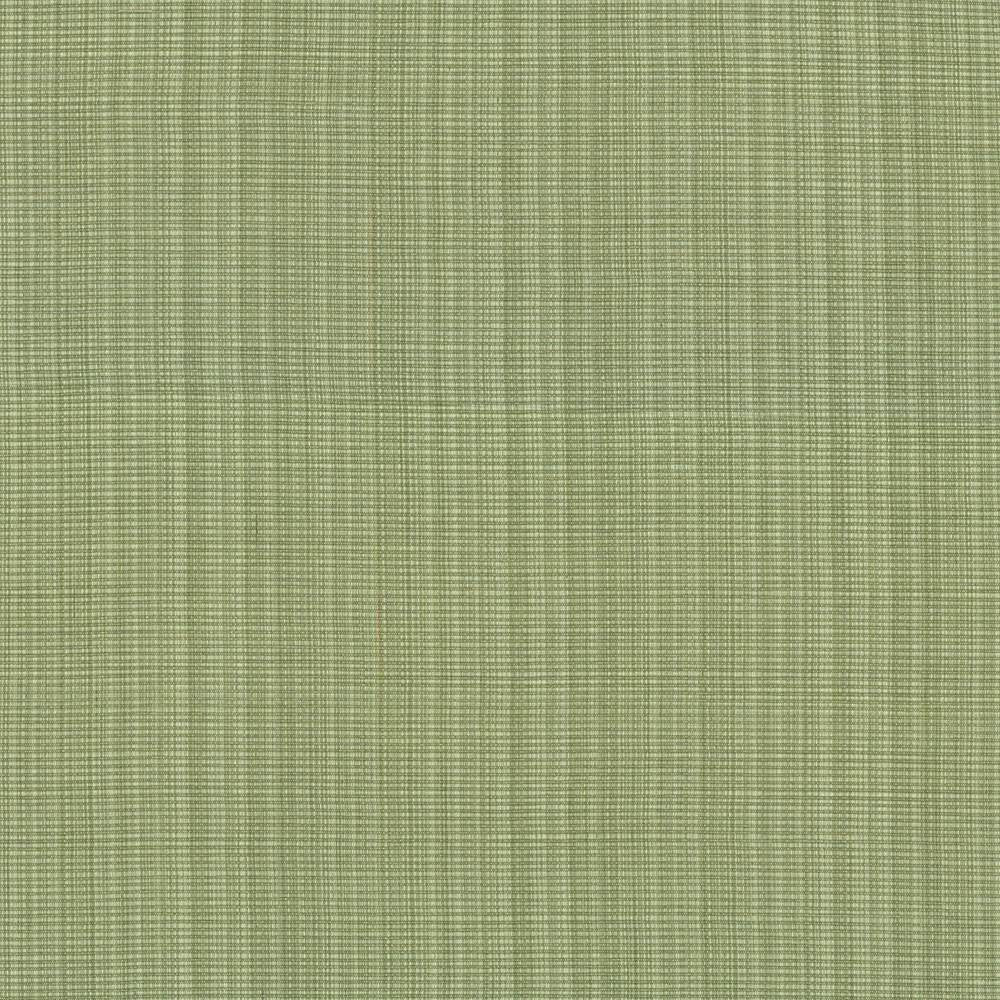 Strasse Peapod by Kasmir Fabric 5030 INDIA 30,000 Wyzenbeek Double Rubs H: N/A, V:N/A 54 - 55 - Fabric Carolina - Kasmir
