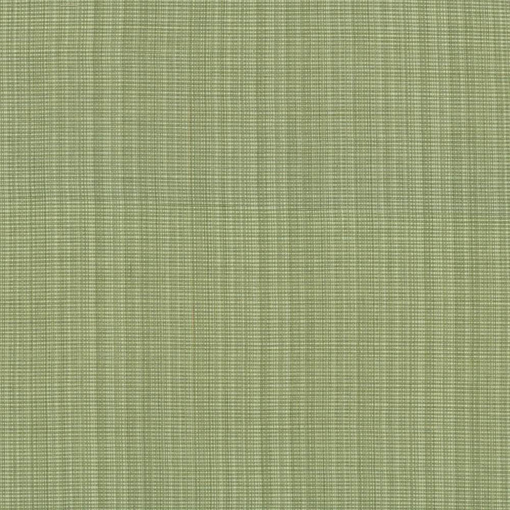 Strasse Peapod by Kasmir Fabric 5030 INDIA 30,000 Wyzenbeek Double Rubs H: N/A, V:N/A 54 - 55 - Fabric Carolina - Kasmir