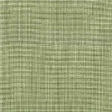 Strasse Peapod by Kasmir Fabric 5030 50% Cotton 50% Polyester INDIA 30,000 Wyzenbeek Double Rubs H: N/A, V: N/A 54 - 55 - Fabric Carolina - Kasmir