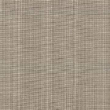 Strasse Taupe by Kasmir Fabric 5030 50% Cotton 50% Polyester INDIA 30,000 Wyzenbeek Double Rubs H: N/A, V: N/A 54 - 55 - Fabric Carolina - Kasmir