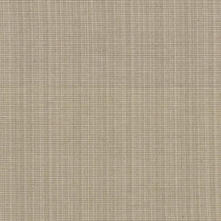 Strasse Wheat by Kasmir Fabric 5030 50% Cotton
50% Polyester
 INDIA </p><p>Repeat: Horizontal: N/A and Vertical: N/A 54 - 55 - Fabric Carolina -