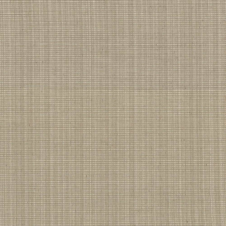 Strasse Wheat by Kasmir Fabric 5030 INDIA 30,000 Wyzenbeek Double Rubs H: N/A, V:N/A 54 - 55 - Fabric Carolina - Kasmir