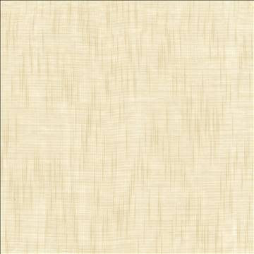 Stratus Oatmeal by Kasmir Fabric 5108 100% Polyester TURKEY Not Tested H: N/A, V: N/A 116 - 118 - Fabric Carolina - Kasmir