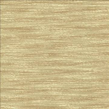Striated Beige by Kasmir Fabric 5120 68% Polyester 18% Cotton 14% Viscose INDIA 50,000 Wyzenbeek Double Rubs H: N/A, V: N/A 54 - Fabric Carolina - Kasmir