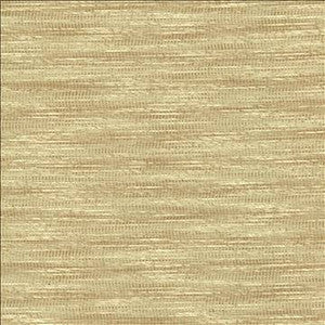 Striated Beige by Kasmir Fabric
