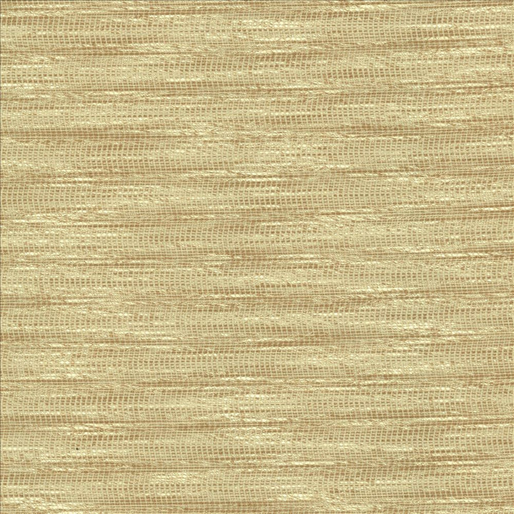 Striated Beige  by Kasmir Fabric See sample 68% Polyester
18% Cotton
14% Viscose
 INDIA 50,000 Wyzenbeek Double Rubs </p><p>Repeat: Horizontal: N/A and Vertical: N/A 54  - Fabric Carolina -