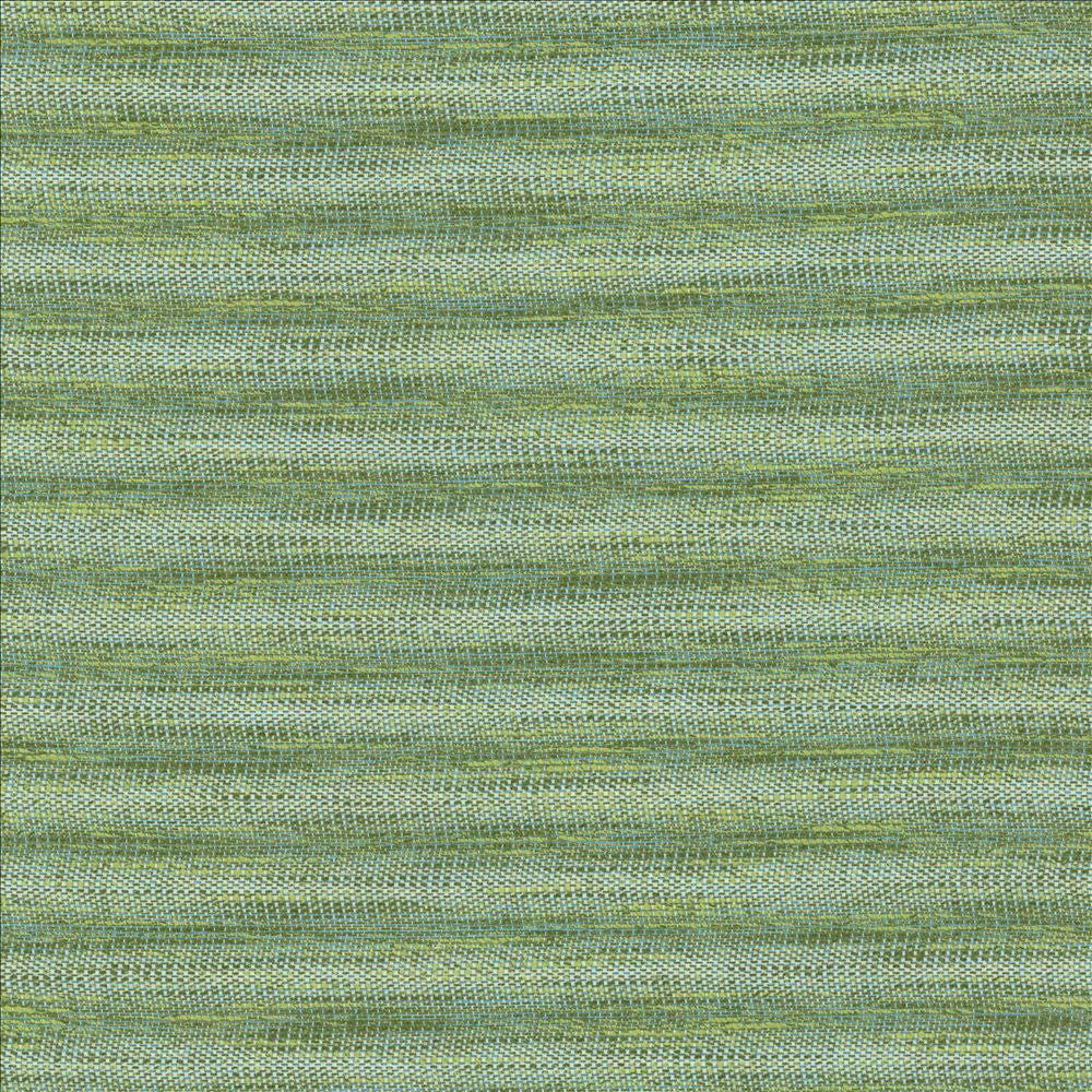 Striated Green by Kasmir Fabric 5124 68% Polyester
18% Cotton
14% Viscose
 INDIA </p><p>Repeat: Horizontal: N/A and Vertical: N/A 54 - Fabric Carolina -