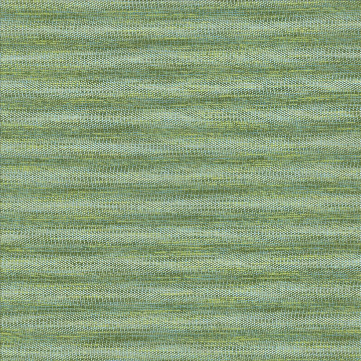 Striated Green by Kasmir Fabric 5124 68% Polyester
18% Cotton
14% Viscose
 INDIA </p><p>Repeat: Horizontal: N/A and Vertical: N/A 54 - Fabric Carolina -