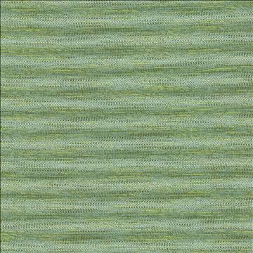 Striated Green by Kasmir Fabric 5124 68% Polyester 18% Cotton 14% Viscose INDIA 50,000 Wyzenbeek Double Rubs H: N/A, V: N/A 54 - Fabric Carolina - Kasmir