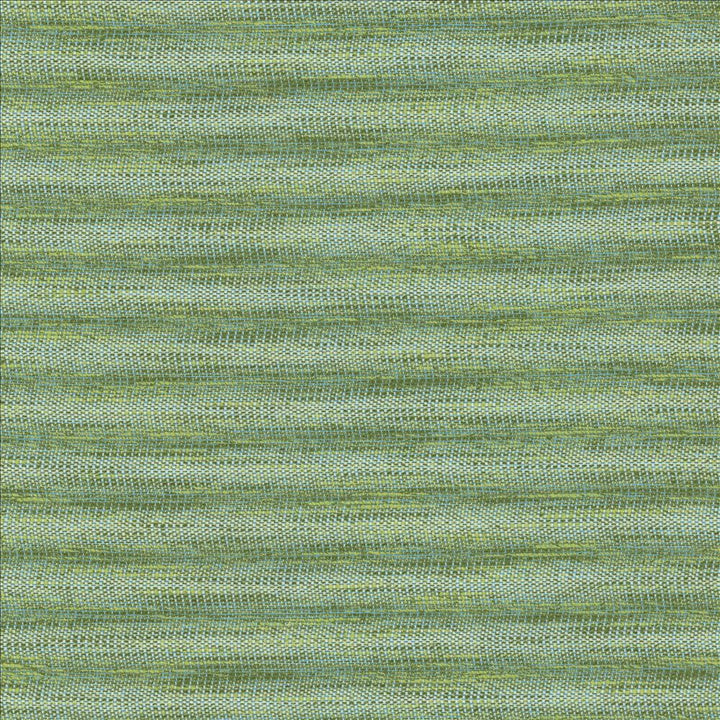 Striated Green by Kasmir Fabric 5124 68% Polyester 18% Cotton 14% Viscose INDIA 50,000 Wyzenbeek Double Rubs Horizontal: 0 Inches and Vertical: 0 Inches 54 - Fabric Carolina -