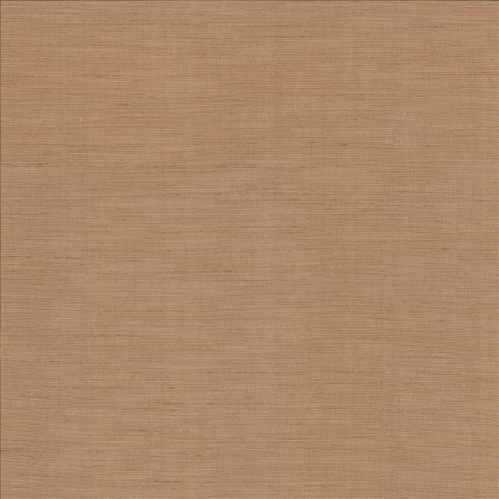 Striation Blush by Kasmir Fabric 5155 100% Polyester
 INDIA 12,000 Wyzenbeek Double Rubs Horizontal: N/A and Vertical: N/A 55 - Fabric Carolina -