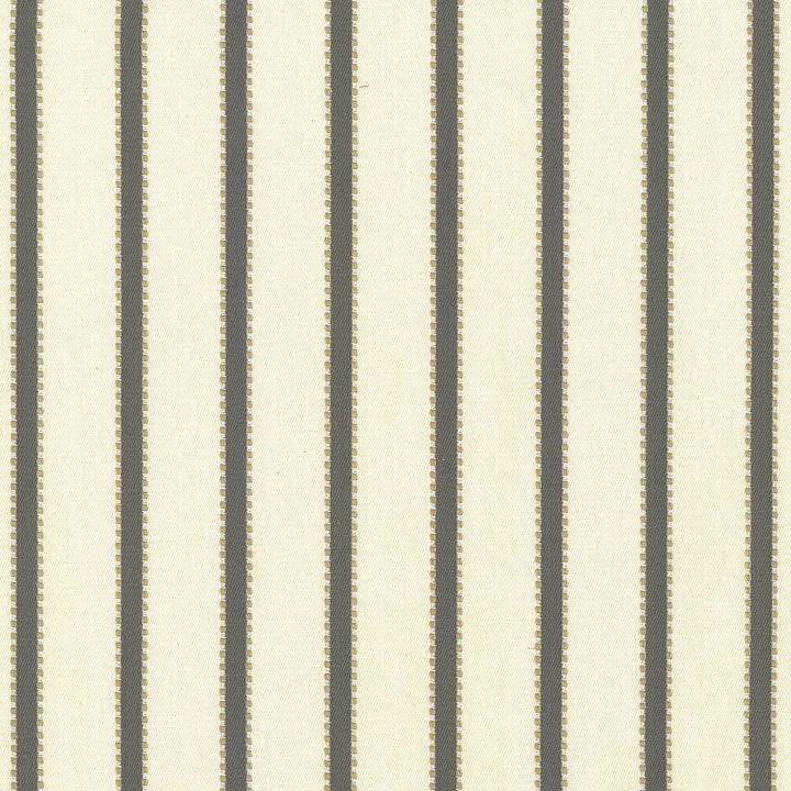 Stripe Delight Grey by Kasmir Fabric 5067 INDIA 27,000 Wyzenbeek Double Rubs H: 1 4/8 inches, V:N/A 55 - 57 - Fabric Carolina - Kasmir