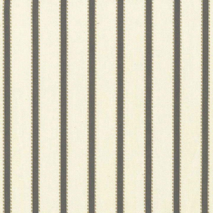 Stripe Delight Grey  by Kasmir Fabric See sample 100% Cotton
 INDIA 27,000 Wyzenbeek Double Rubs </p><p>Repeat: Horizontal: 1 4/8 inches and Vertical: N/A 55  - Fabric Carolina -
