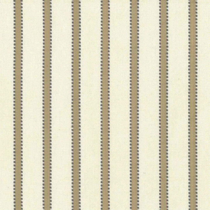 Stripe Delight Taupe by Kasmir Fabric 5066 INDIA 27,000 Wyzenbeek Double Rubs H: 1 4/8 inches, V:N/A 55 - 57 - Fabric Carolina - Kasmir