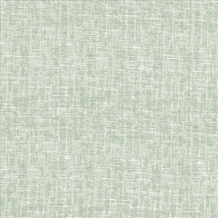 Stylish Caribbean by Kasmir Fabric 1453 60% Viscose
40% Polyester
 CHINA </p><p>Repeat: Horizontal: N/A and Vertical: N/A 56 - Fabric Carolina -