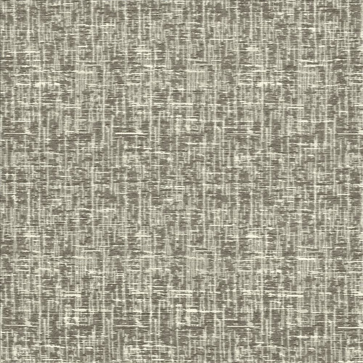 Stylish Stone by Kasmir Fabric 1451 60% Viscose
40% Polyester
 CHINA </p><p>Repeat: Horizontal: N/A and Vertical: N/A 56 - Fabric Carolina -