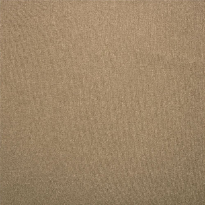 Subtle Chic Beige by Kasmir Fabric 5040 100% Polyester
 INDIA 50,000 Wyzenbeek Double Rubs </p><p>Repeat: Horizontal: N/A and Vertical: N/A 54 - Fabric Carolina -