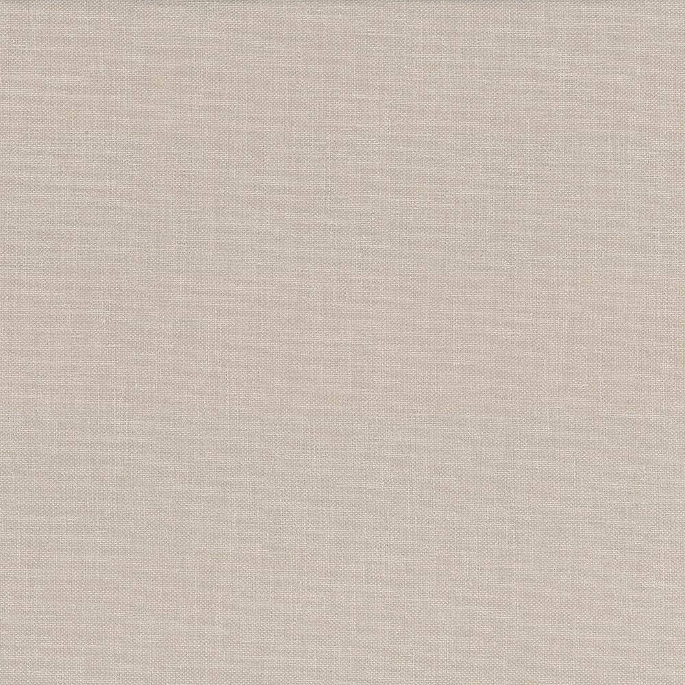 Subtle Chic Beige by Kasmir Fabric 5040 INDIA 50,000 Wyzenbeek Double Rubs H: N/A, V:N/A 55 - 57 - Fabric Carolina - Kasmir