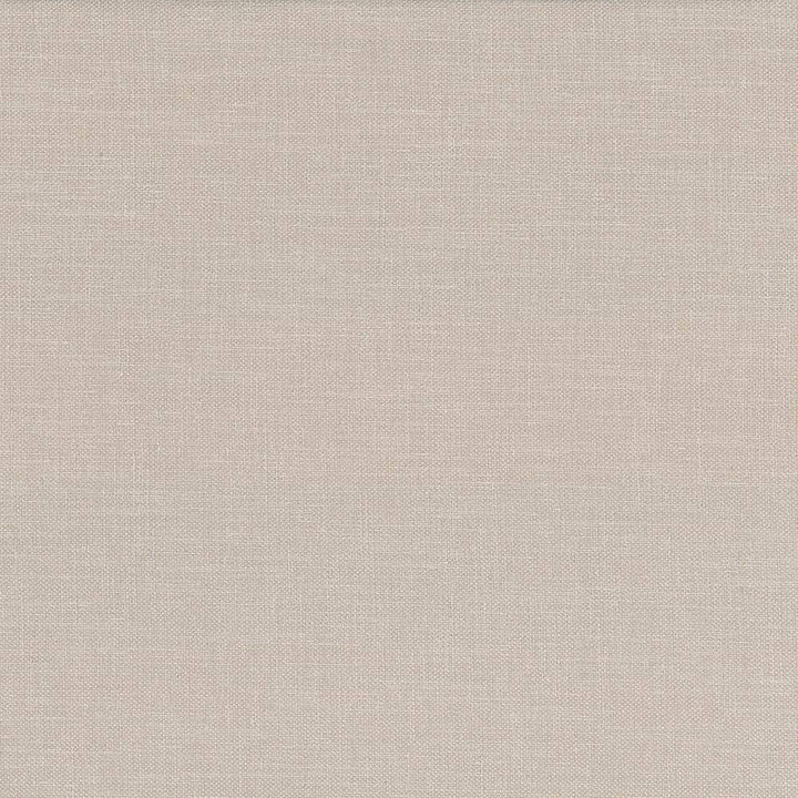 Subtle Chic Beige by Kasmir Fabric 5040 INDIA 50,000 Wyzenbeek Double Rubs H: N/A, V:N/A 55 - 57 - Fabric Carolina - Kasmir
