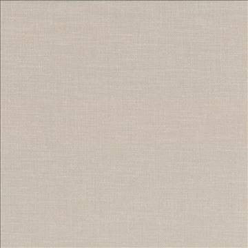 Subtle Chic Beige by Kasmir Fabric 5040 100% Polyester INDIA 50,000 Wyzenbeek Double Rubs H: N/A, V: N/A 55 - 57 - Fabric Carolina - Kasmir