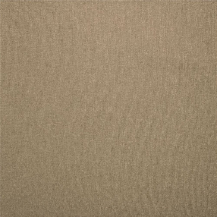 Subtle Chic Beige by Kasmir Fabric 5040 100% Polyester INDIA 50,000 Wyzenbeek Double Rubs Horizontal: 0 Inches and Vertical: 0 Inches 54 - 57 - Fabric Carolina -
