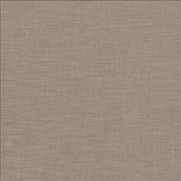 Subtle Chic Cafe by Kasmir Fabric 5040 100% Polyester INDIA 50,000 Wyzenbeek Double Rubs H: N/A, V: N/A 55 - 57 - Fabric Carolina - Kasmir