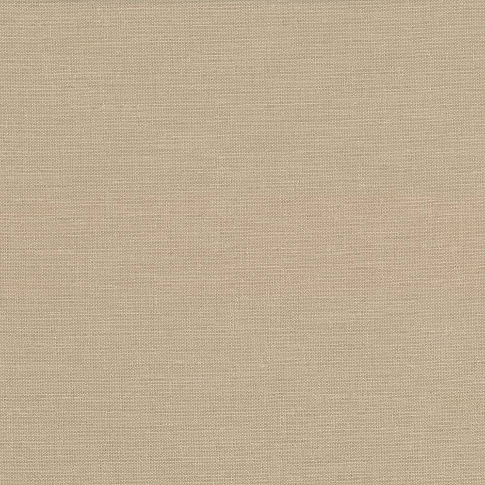 Subtle Chic Cashew by Kasmir Fabric 5040 INDIA 50,000 Wyzenbeek Double Rubs H: N/A, V:N/A 55 - 57 - Fabric Carolina - Kasmir