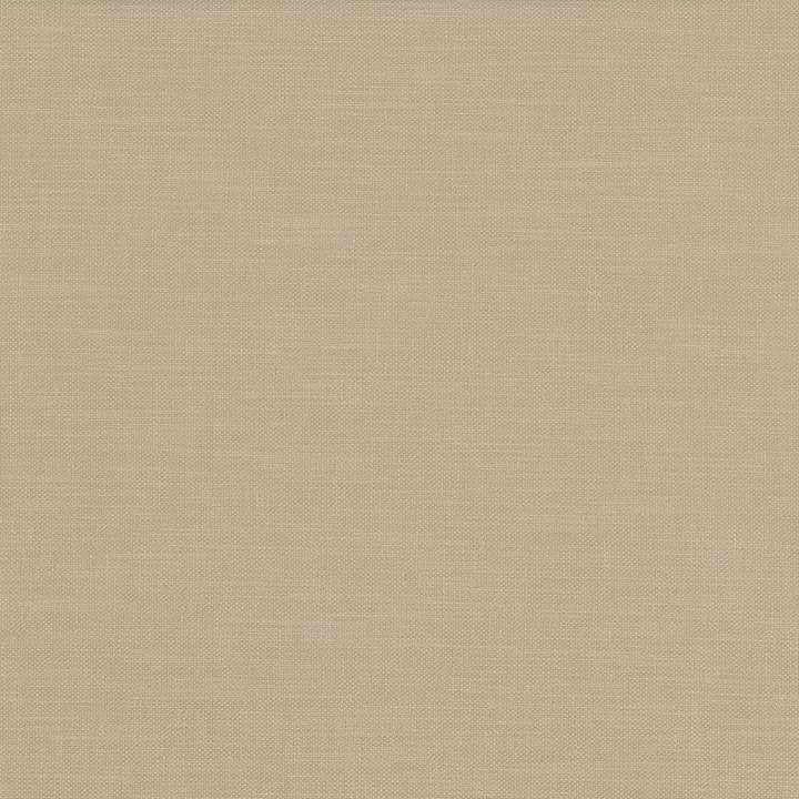 Subtle Chic Cashew by Kasmir Fabric 5040 INDIA 50,000 Wyzenbeek Double Rubs H: N/A, V:N/A 55 - 57 - Fabric Carolina - Kasmir