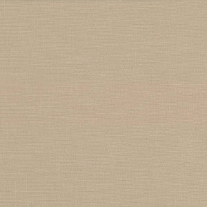 Subtle Chic Cashew by Kasmir Fabric