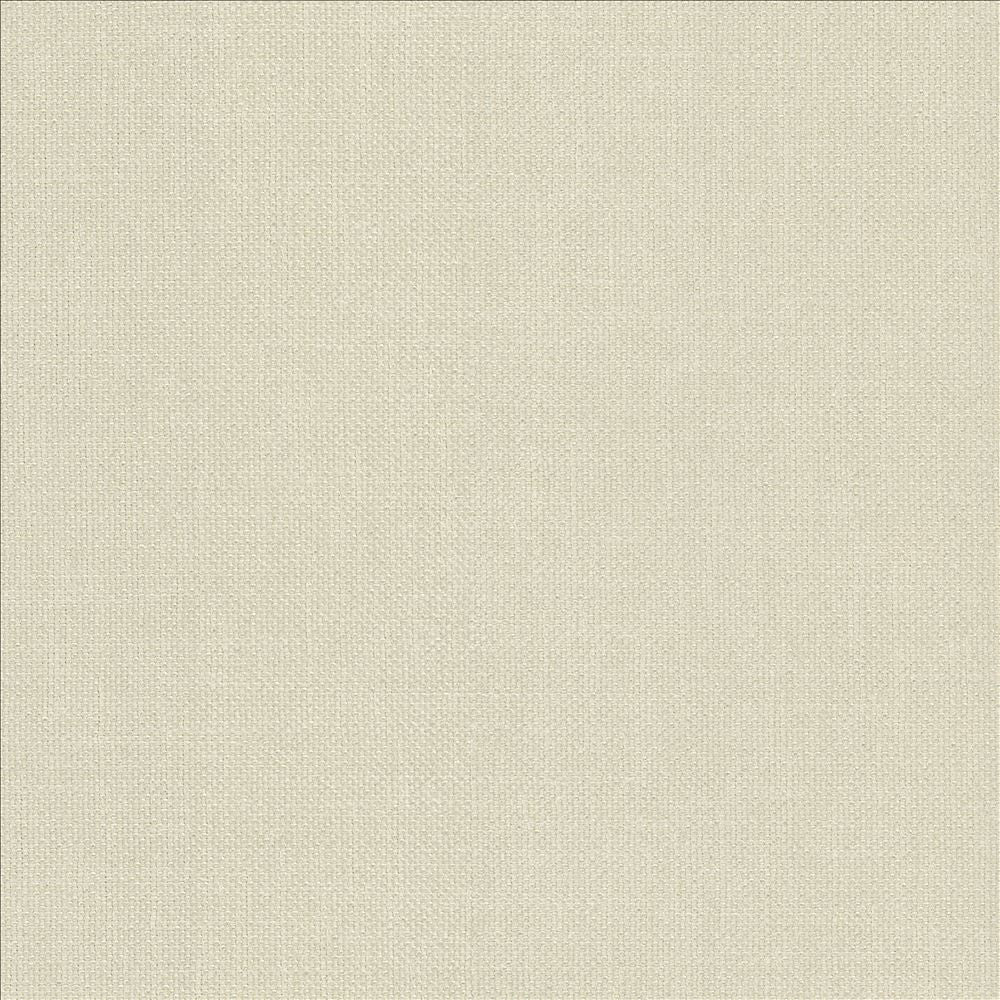 Subtle Chic Champagne  by Kasmir Fabric 5183 100% Polyester  INDIA  </p><p>Repeat: Horizontal: N/A and Vertical: N/A 54  - 57   - Fabric Carolina -