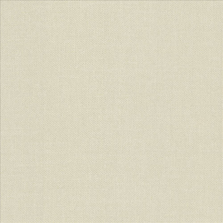 Subtle Chic Champagne  by Kasmir Fabric 5183 100% Polyester  INDIA  </p><p>Repeat: Horizontal: N/A and Vertical: N/A 54  - 57   - Fabric Carolina -