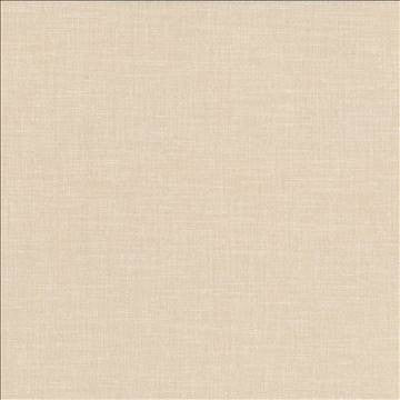 Subtle Chic Chino by Kasmir Fabric 5040 100% Polyester INDIA 50,000 Wyzenbeek Double Rubs H: N/A, V: N/A 55 - 57 - Fabric Carolina - Kasmir