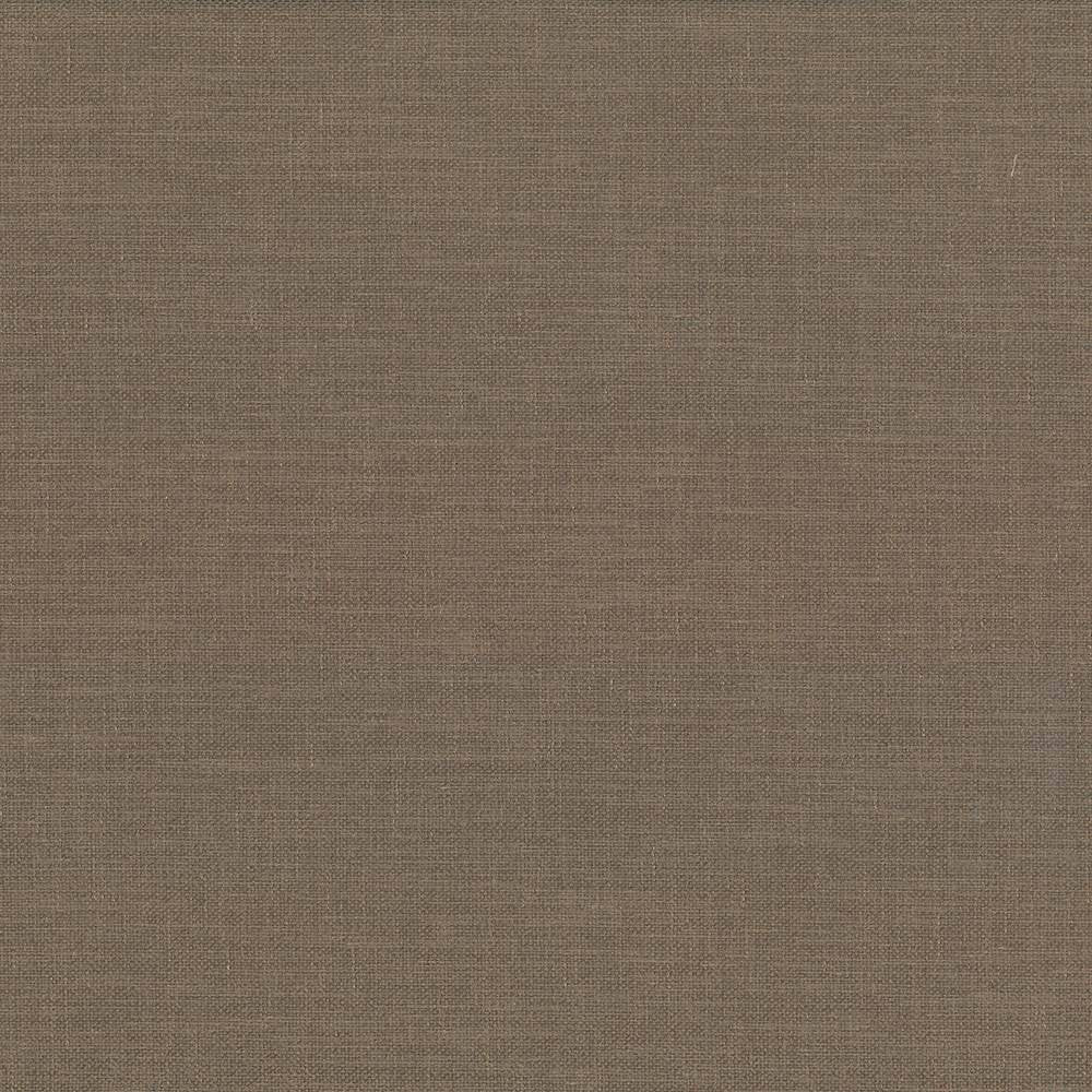 Subtle Chic Cocoa by Kasmir Fabric 5040 INDIA 50,000 Wyzenbeek Double Rubs H: N/A, V:N/A 55 - 57 - Fabric Carolina - Kasmir