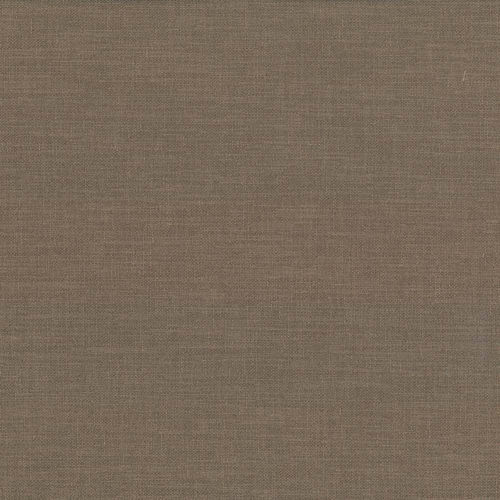 Subtle Chic Cocoa by Kasmir Fabric 5040 INDIA 50,000 Wyzenbeek Double Rubs H: N/A, V:N/A 55 - 57 - Fabric Carolina - Kasmir