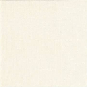 Subtle Chic Cream by Kasmir Fabric 5040 100% Polyester INDIA 50,000 Wyzenbeek Double Rubs H: N/A, V: N/A 55 - 57 - Fabric Carolina - Kasmir