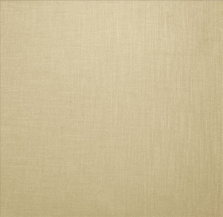 Subtle Chic Cream by Kasmir Fabric 5040 100% Polyester INDIA 50,000 Wyzenbeek Double Rubs Horizontal: 0 Inches and Vertical: 0 Inches 54 - 57 - Fabric Carolina -