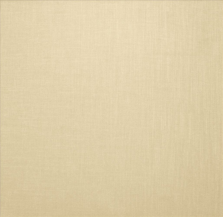 Subtle Chic Cream by Kasmir Fabric 5040 100% Polyester
 INDIA </p><p>Repeat: Horizontal: N/A and Vertical: N/A 54 - 57 - Fabric Carolina -