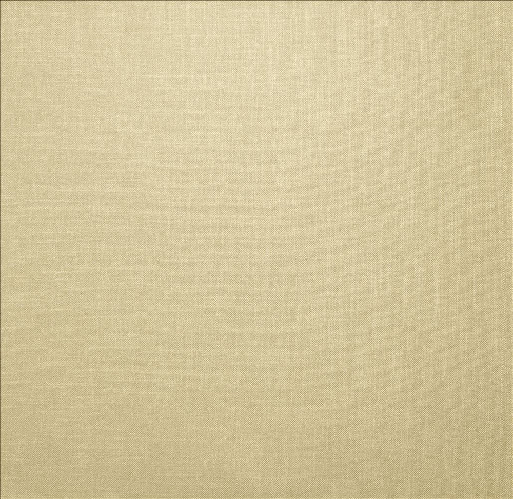 Subtle Chic Cream  by Kasmir Fabric See sample 100% Polyester
 INDIA 50,000 Wyzenbeek Double Rubs </p><p>Repeat: Horizontal: N/A and Vertical: N/A 54  - Fabric Carolina -