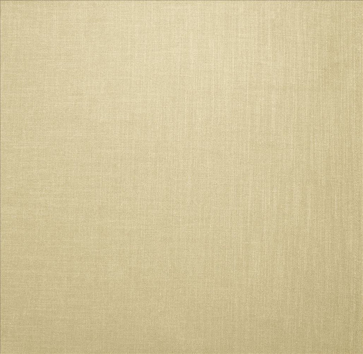 Subtle Chic Cream  by Kasmir Fabric See sample 100% Polyester
 INDIA 50,000 Wyzenbeek Double Rubs </p><p>Repeat: Horizontal: N/A and Vertical: N/A 54  - Fabric Carolina -